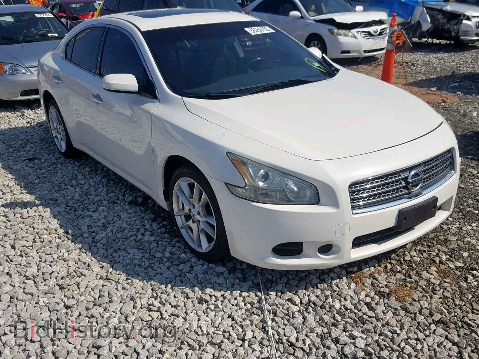 Photo 1N4AA5AP2BC867949 - NISSAN MAXIMA S 2011