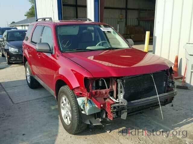 Photo 4F2CY0C76AKM01069 - MAZDA TRIBUTE 2010