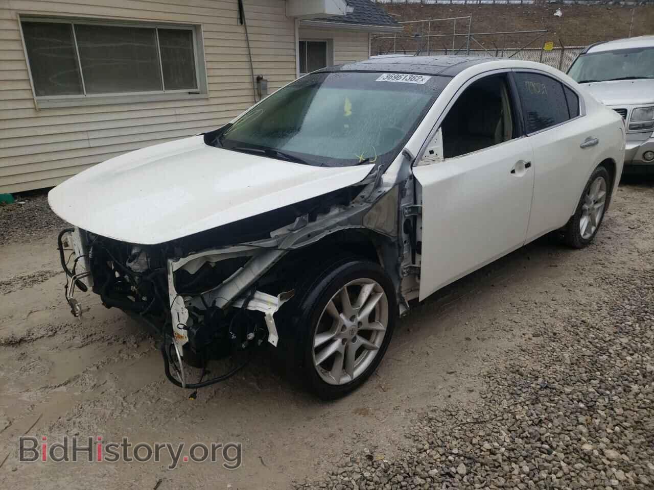 2011 NISSAN MAXIMA - VIN: 1N4AA5AP7BC855392 - Фото 2
