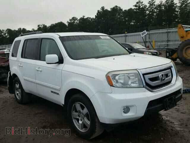 Фотография 5FNYF3H46AB012845 - HONDA PILOT 2010