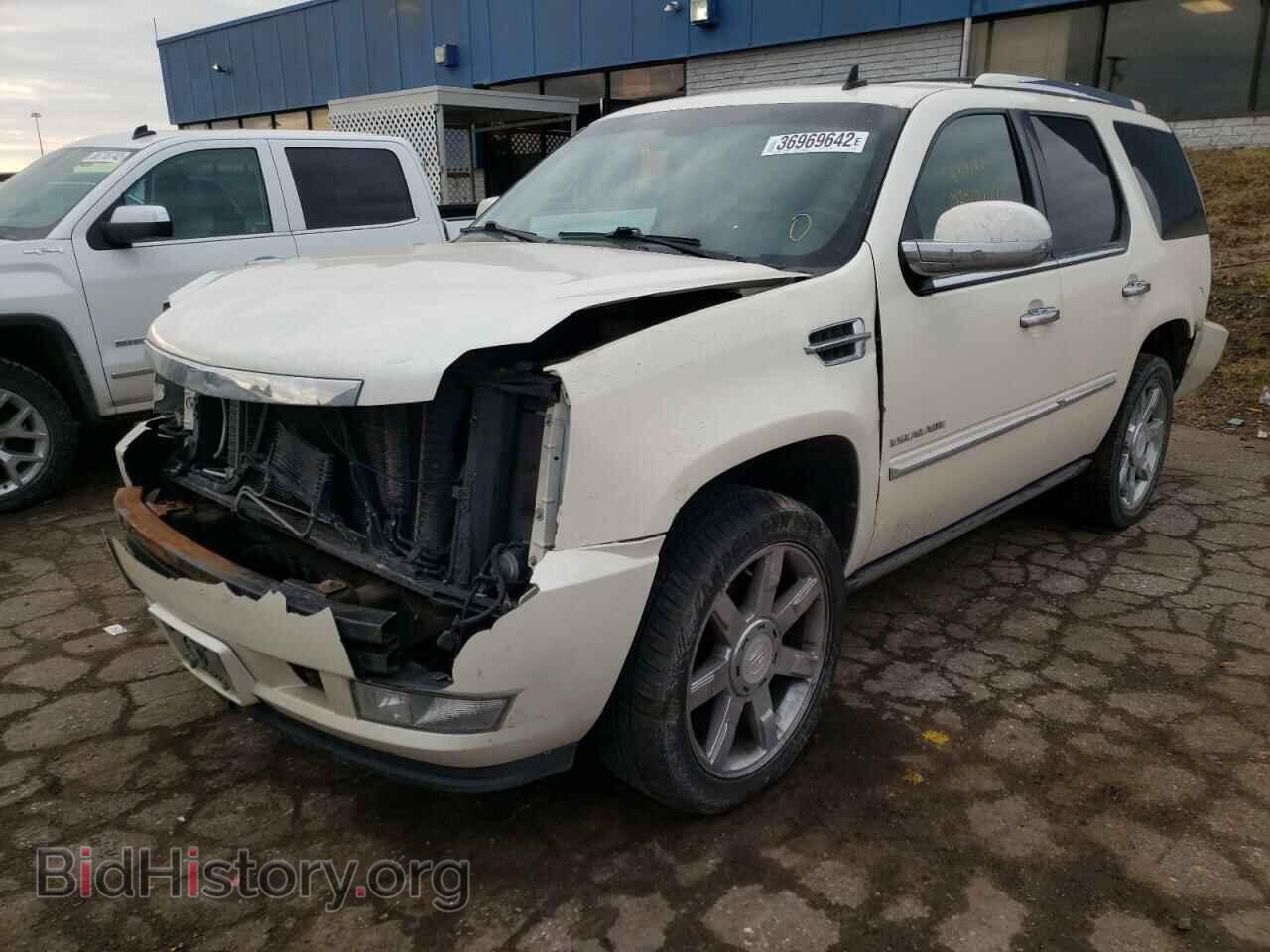 2010 CADILLAC ESCALADE - VIN: 1GYUKCEF2AR146465 - Фото 2