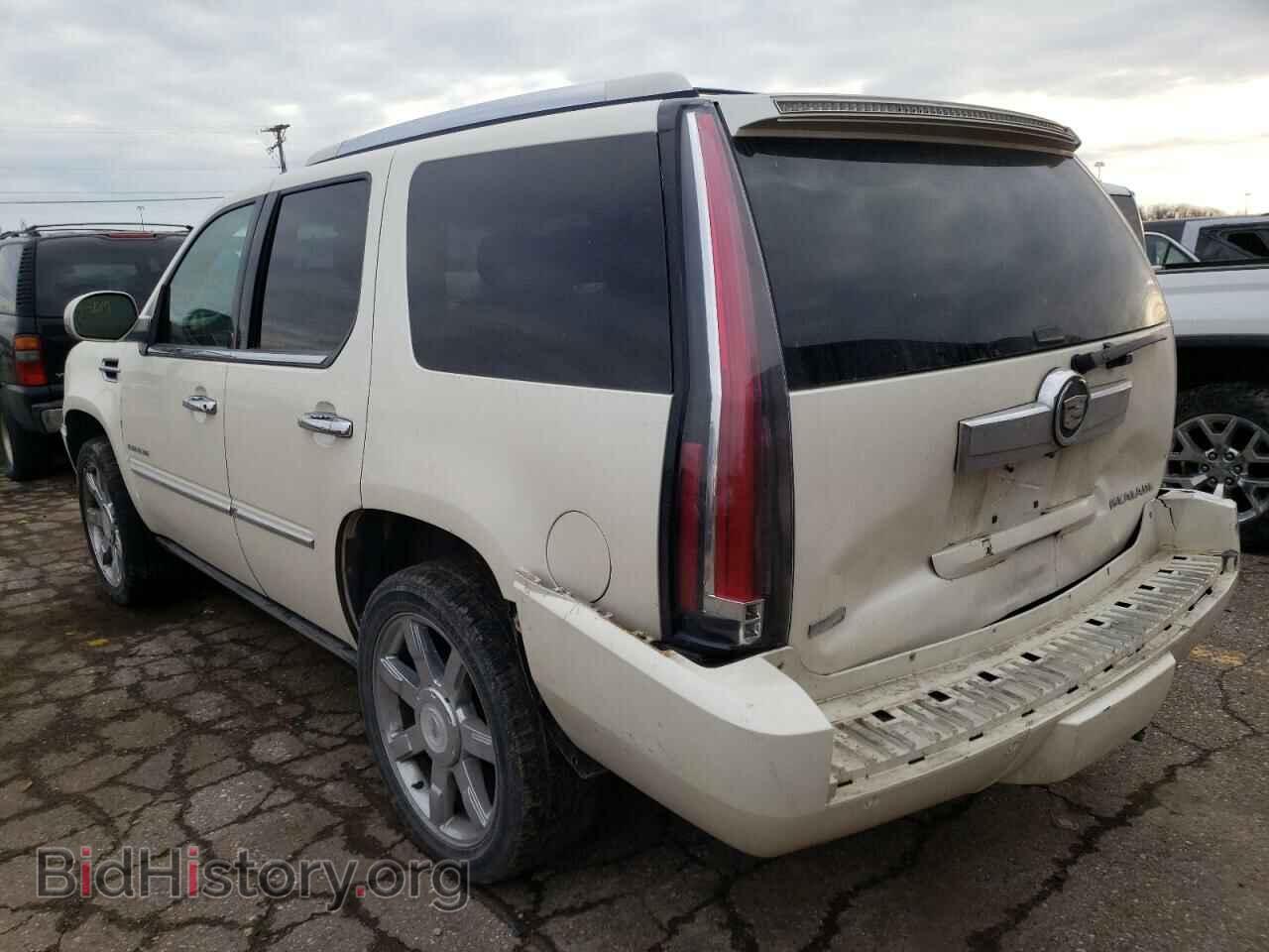 2010 CADILLAC ESCALADE - VIN: 1GYUKCEF2AR146465 - Фото 3