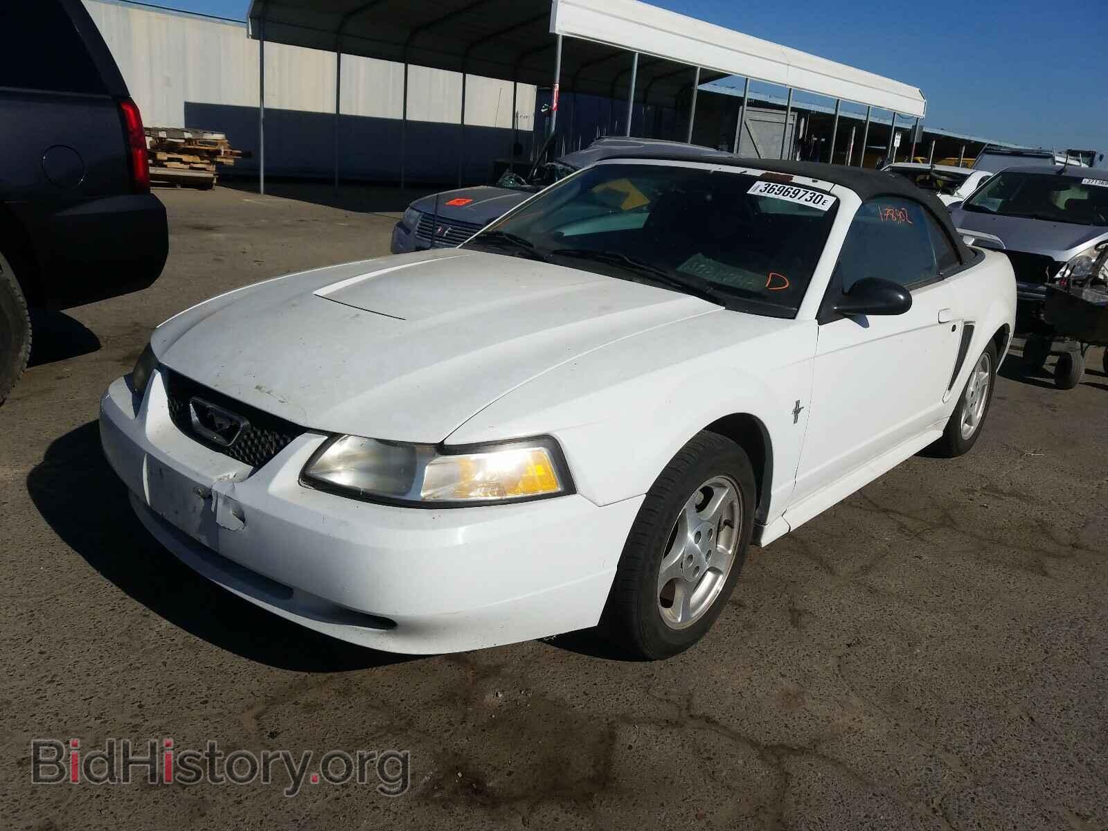 2003 FORD MUSTANG - VIN: 1FAFP44413F361349 - Фото 2