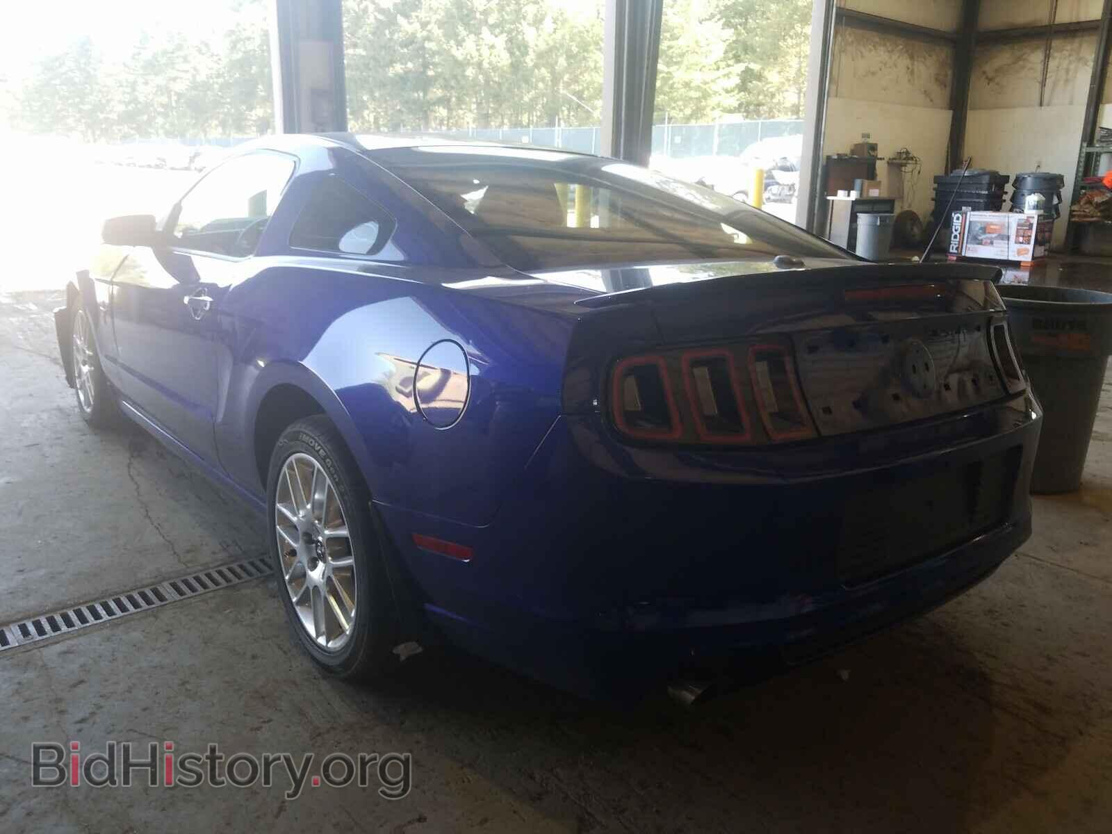 2013 FORD MUSTANG - VIN: 1ZVBP8AM3D5227113 - Фото 3