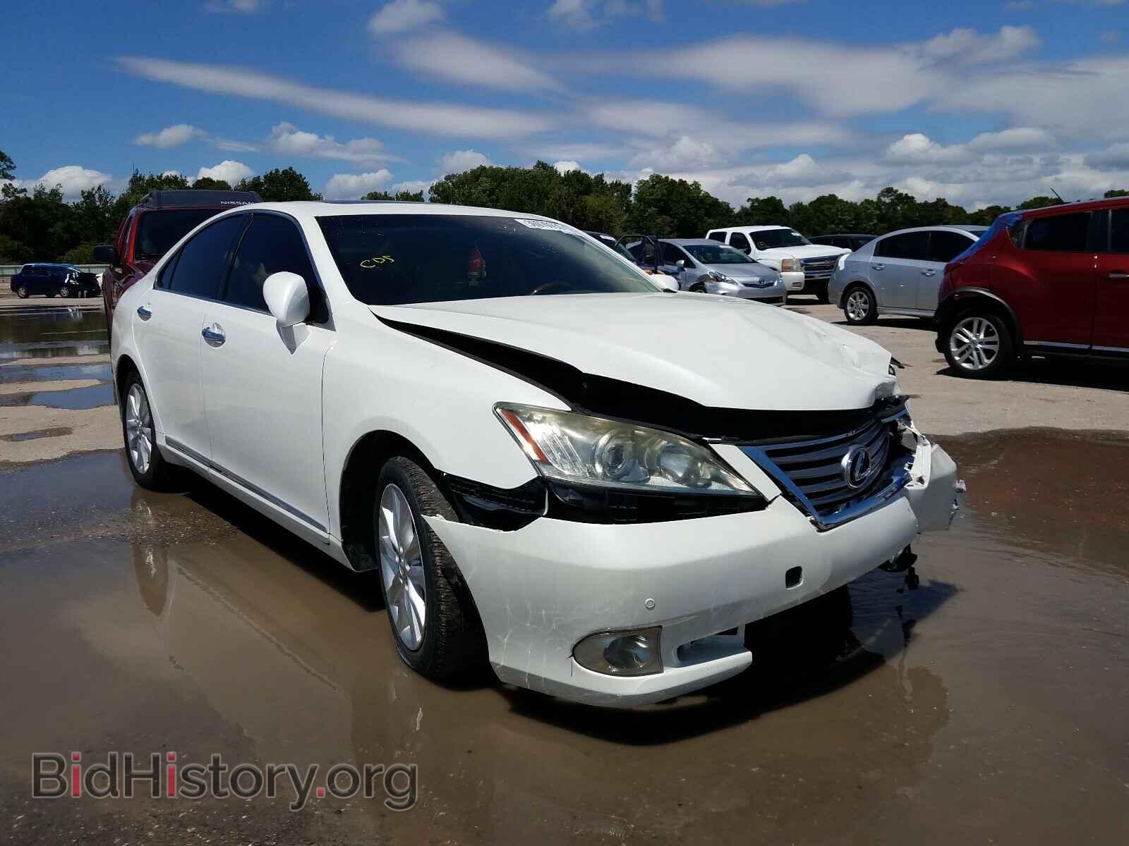 Фотография JTHBK1EG7A2407946 - LEXUS ES350 2010