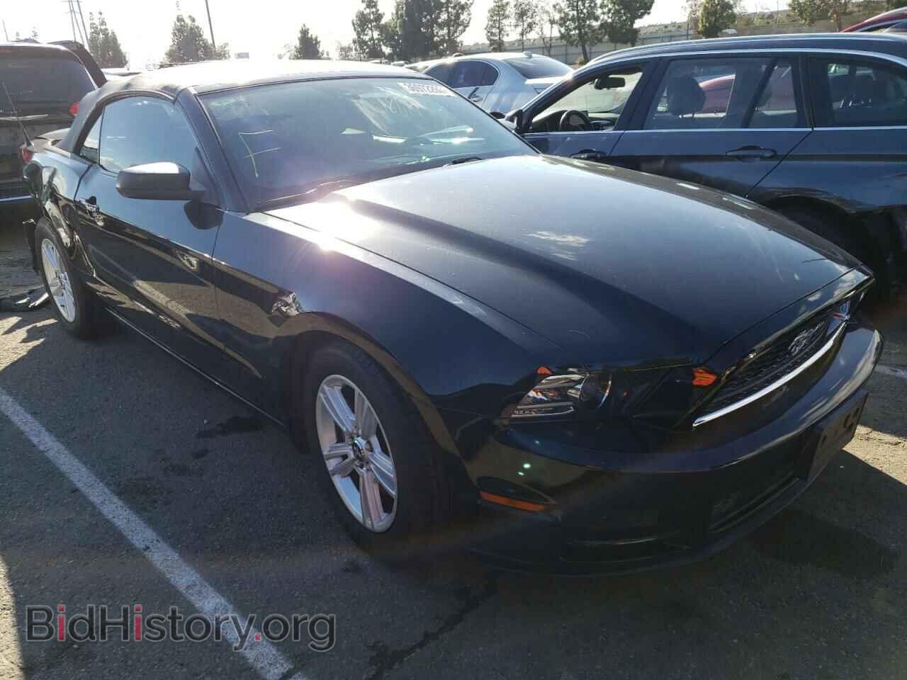2014 FORD MUSTANG - VIN: 1ZVBP8EM1E5205090 - Фото 4