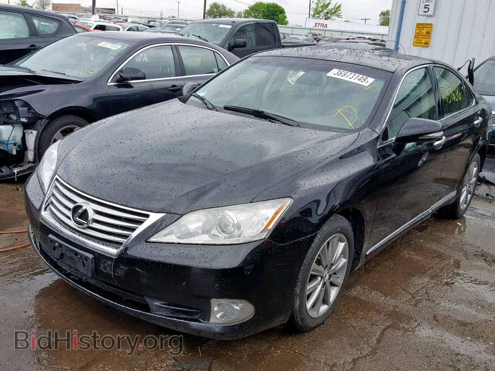 2011 LEXUS ES350 - VIN: JTHBK1EG7B2446683 - Фото 2