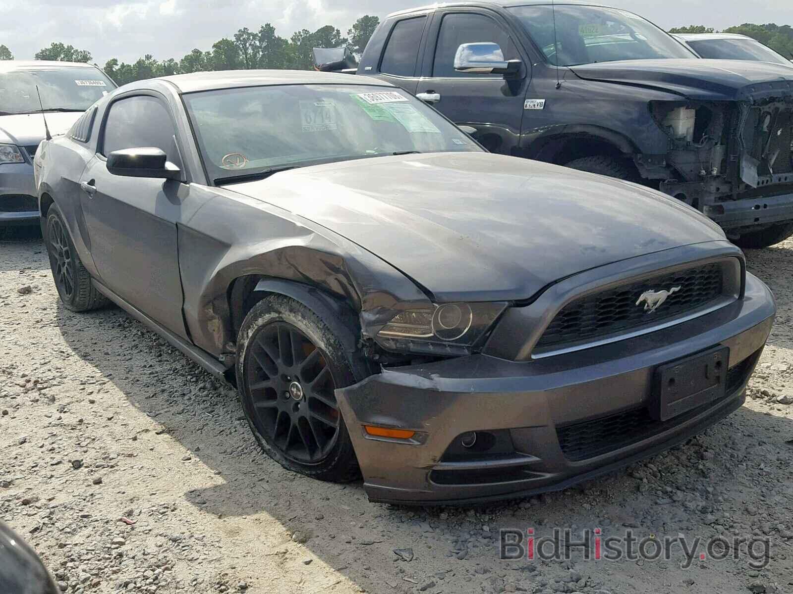 Photo 1ZVBP8AM8E5273604 - FORD MUSTANG 2014