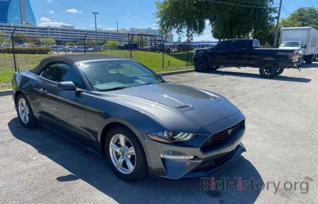 Photo 1FATP8UH1K5158981 - FORD MUSTANG 2019