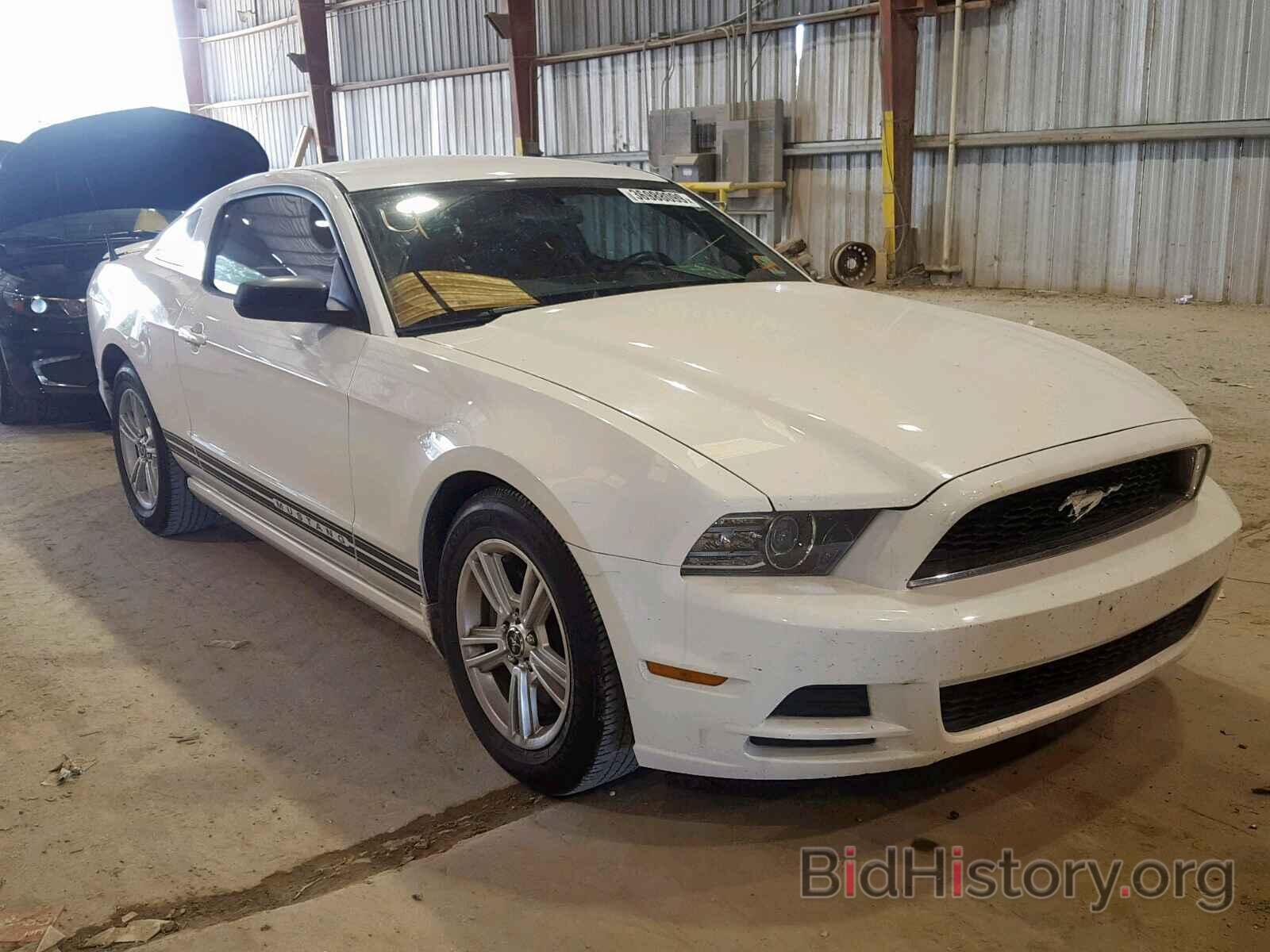 Photo 1ZVBP8AM6D5256301 - FORD MUSTANG 2013