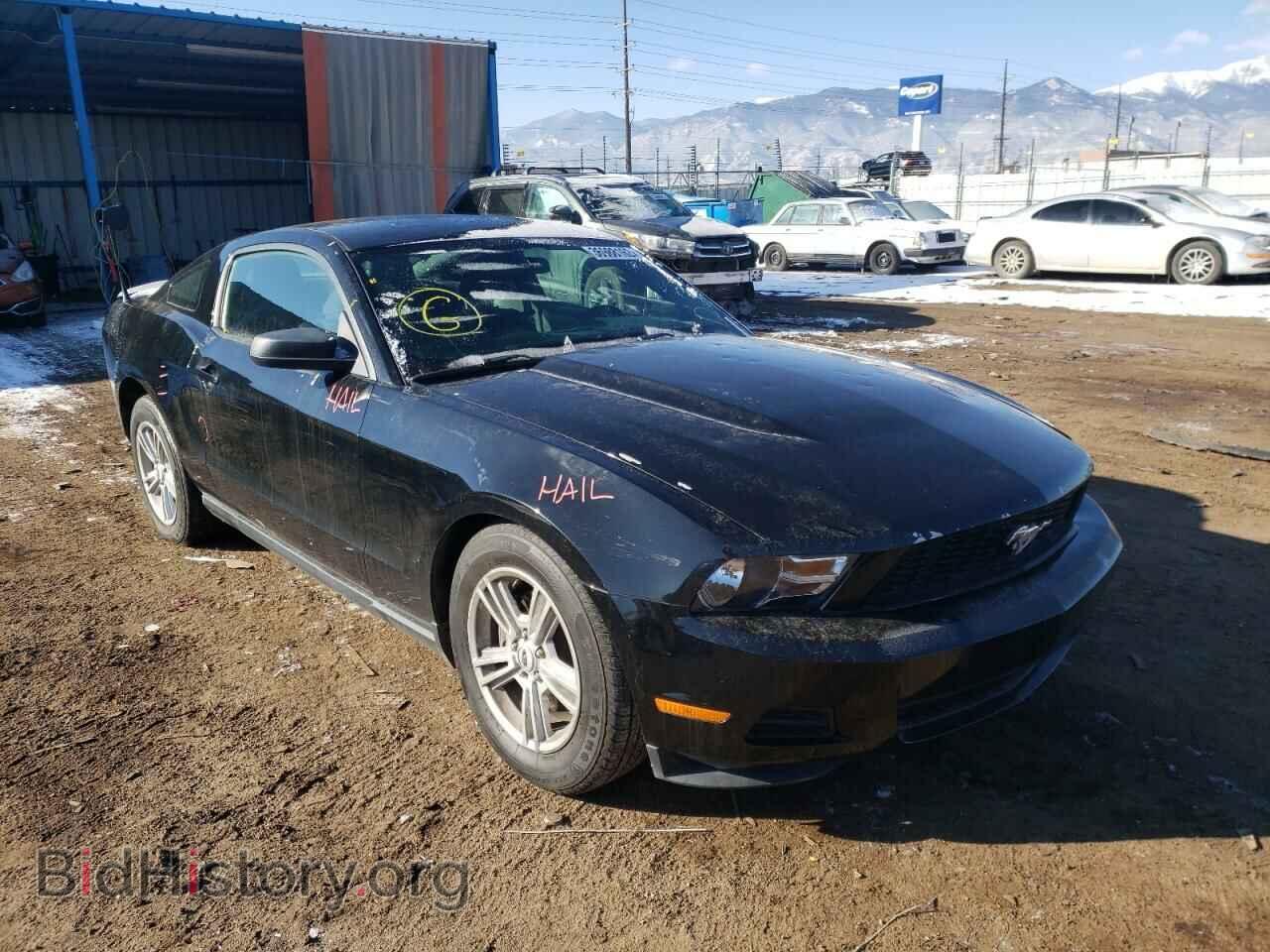 Photo 1ZVBP8AM8B5153488 - FORD MUSTANG 2011