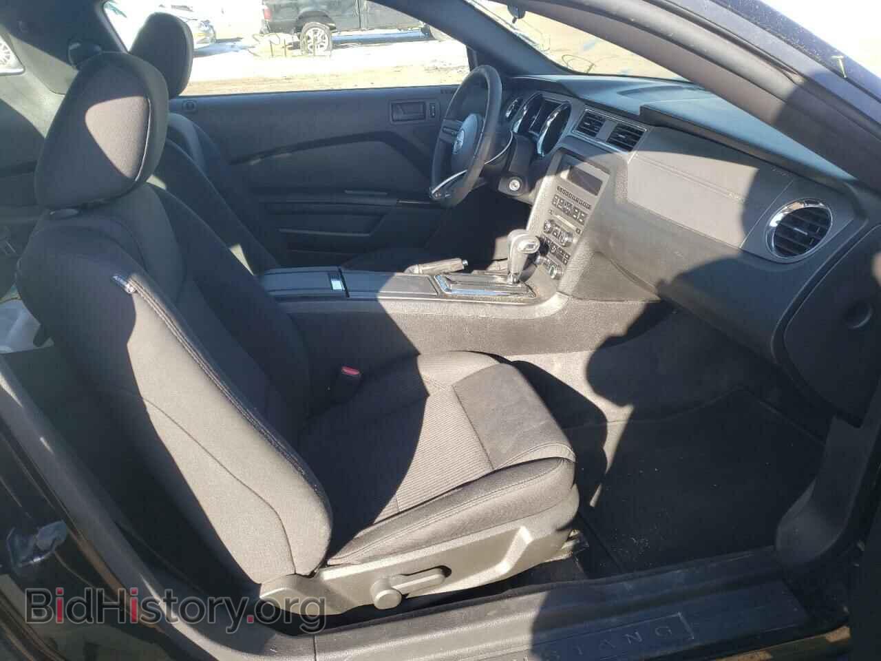 2011 FORD MUSTANG - VIN: 1ZVBP8AM8B5153488 - Фото 5