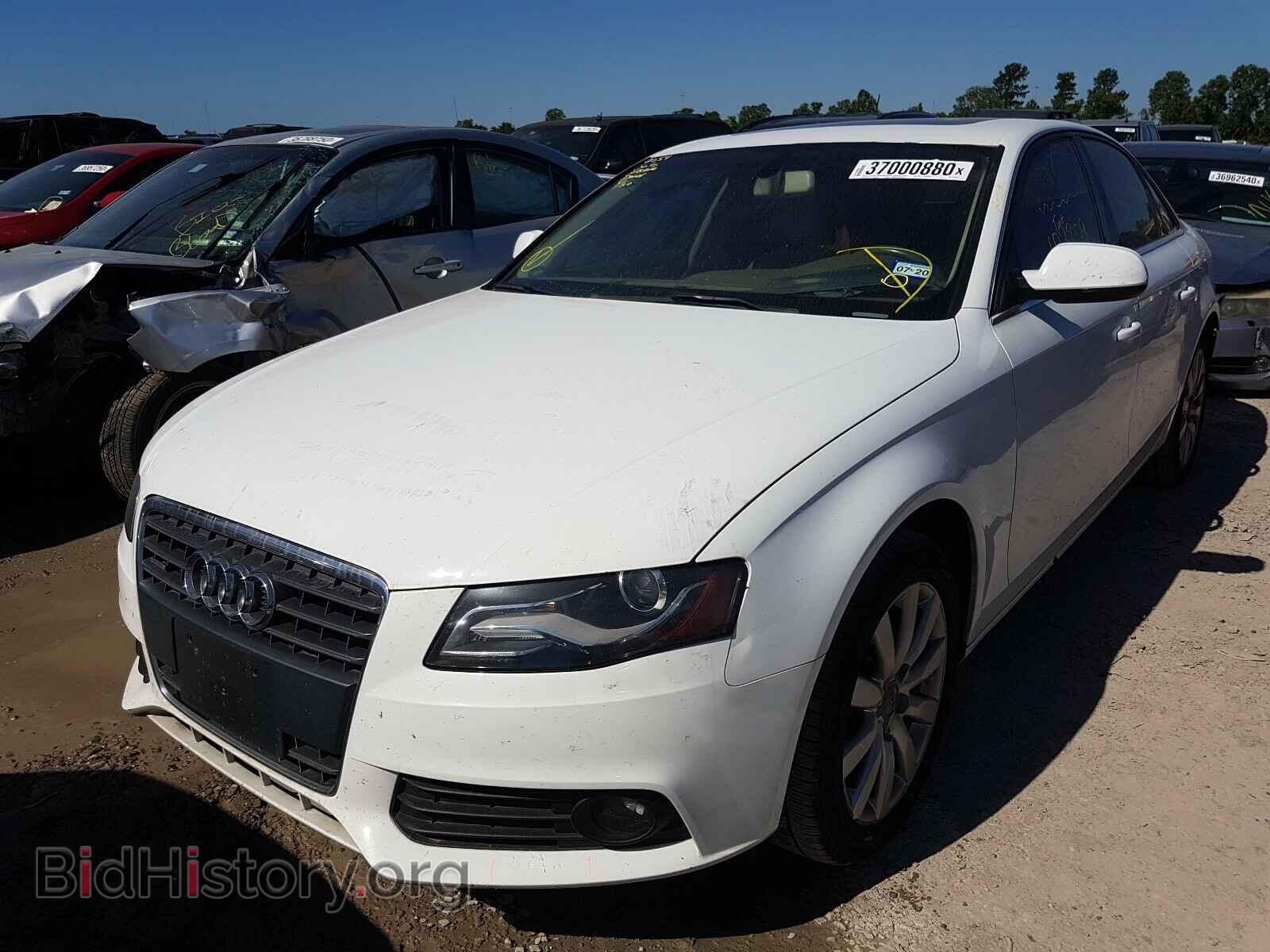2012 AUDI A4 - VIN: WAUBFAFL3CN016258 - Photo 2