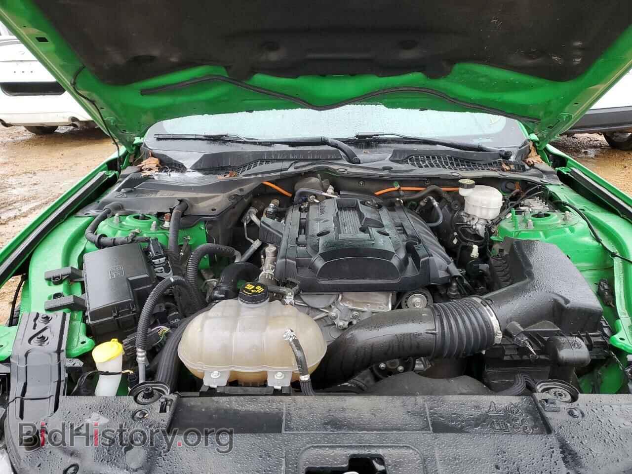 2019 FORD ALL Models - VIN: 1FA6P8TH8K5185335 - Фото 11