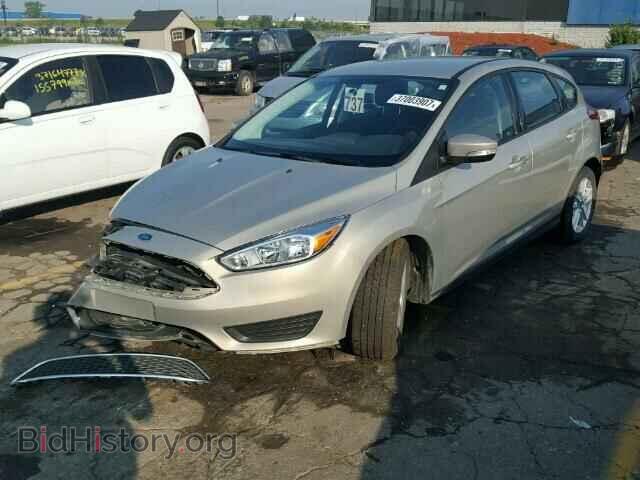 2016 FORD FOCUS - VIN: 1FADP3K28GL252364 - Фото 2