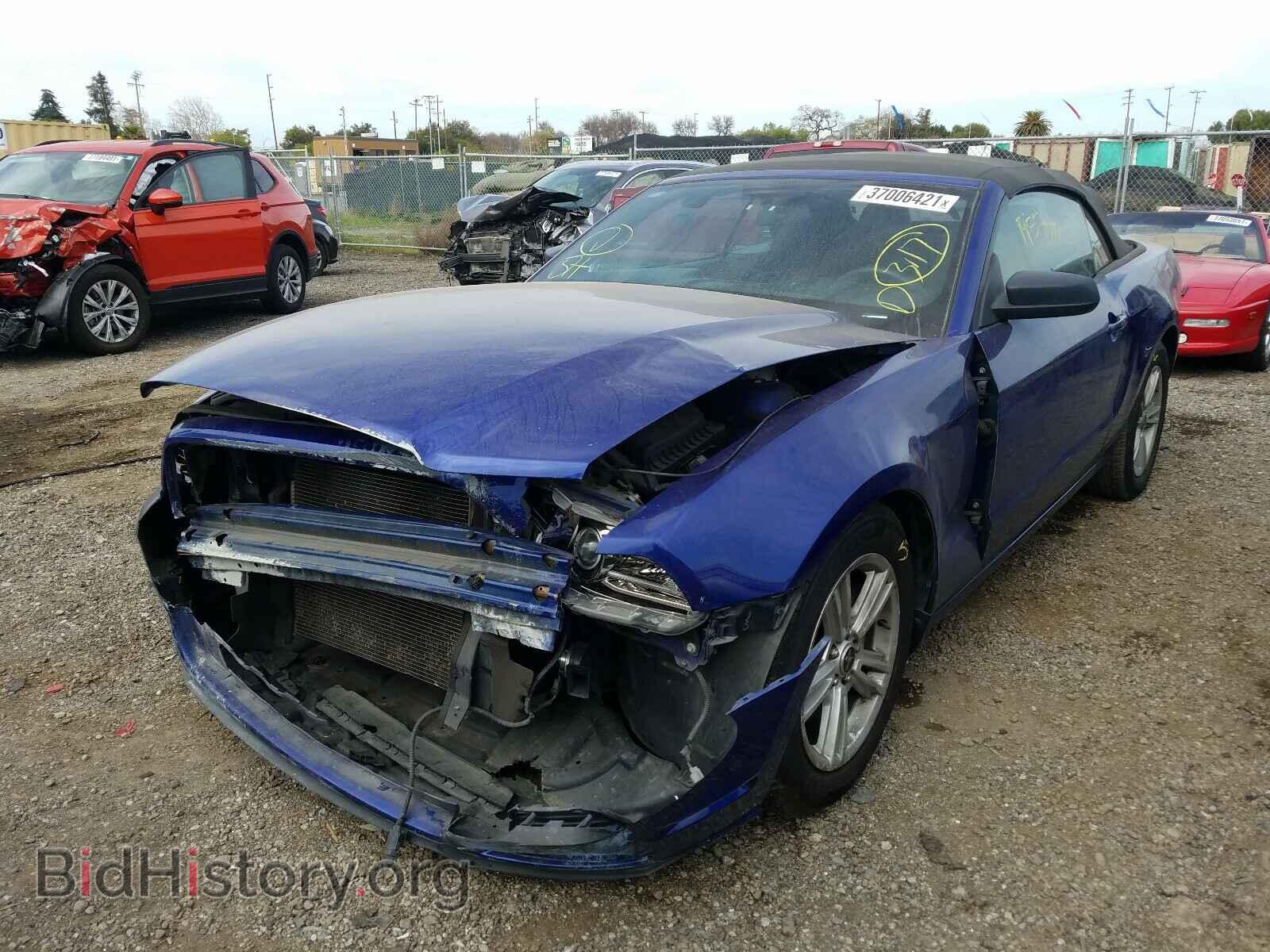2013 FORD MUSTANG - VIN: 1ZVBP8EM6D5224684 - Фото 2