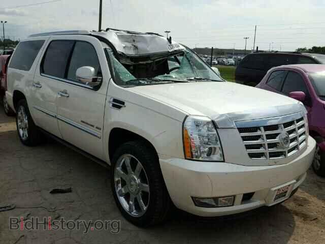 Фотография 1GYS4JEFXBR112099 - CADILLAC ESCALADE 2011