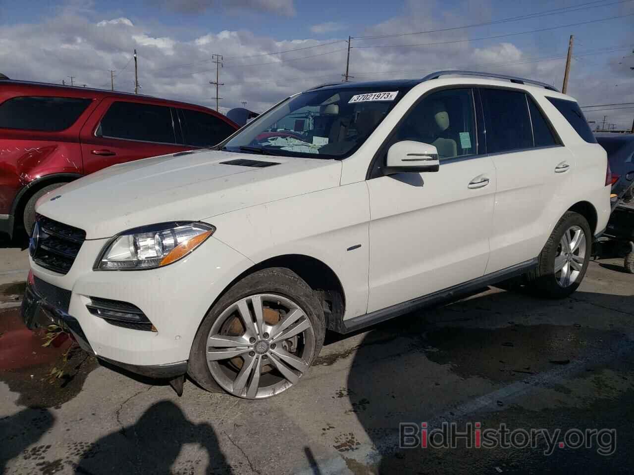 Photo 4JGDA5HB1CA034993 - MERCEDES-BENZ M-CLASS 2012