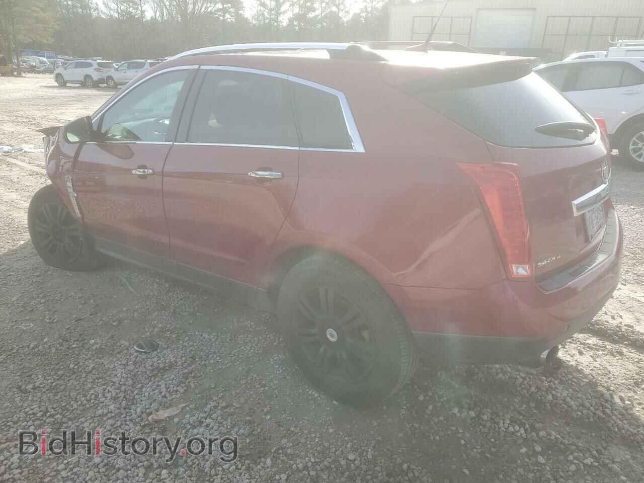 2011 CADILLAC SRX - VIN: 3GYFNDEY3BS604133 - Фото 2