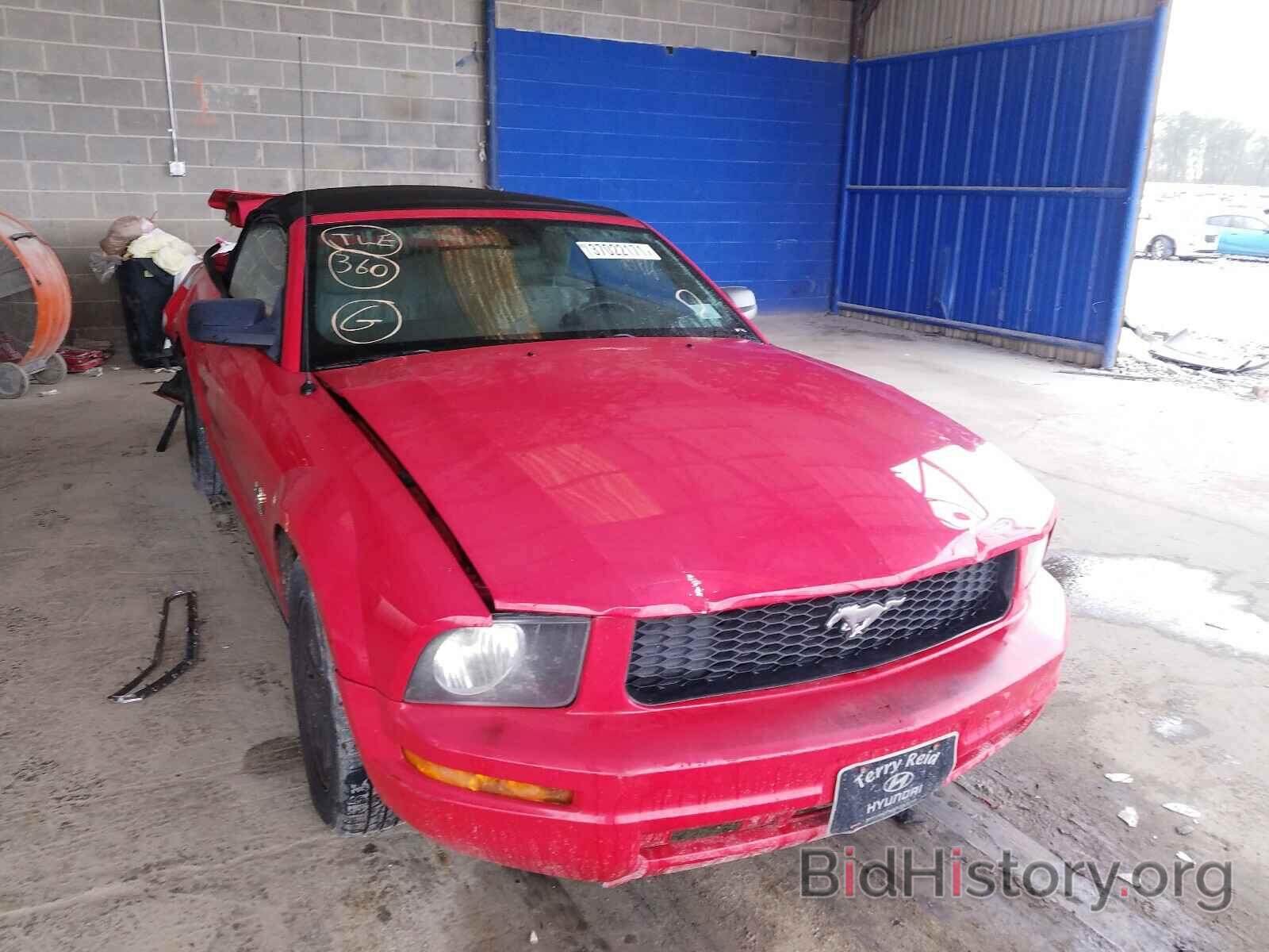 Photo 1ZVHT84N795105176 - FORD MUSTANG 2009
