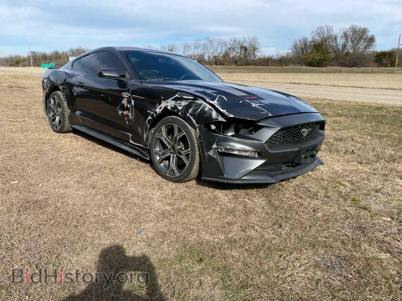 Фотография 1FA6P8TH5K5105926 - FORD ALL Models 2019