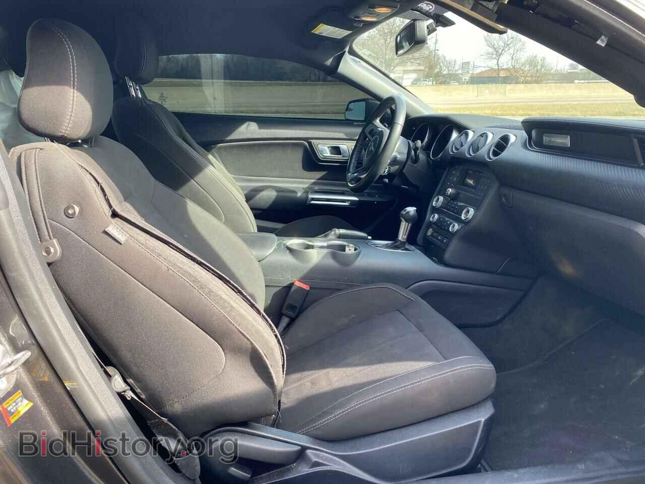 2019 FORD ALL Models - VIN: 1FA6P8TH5K5105926 - Фото 5