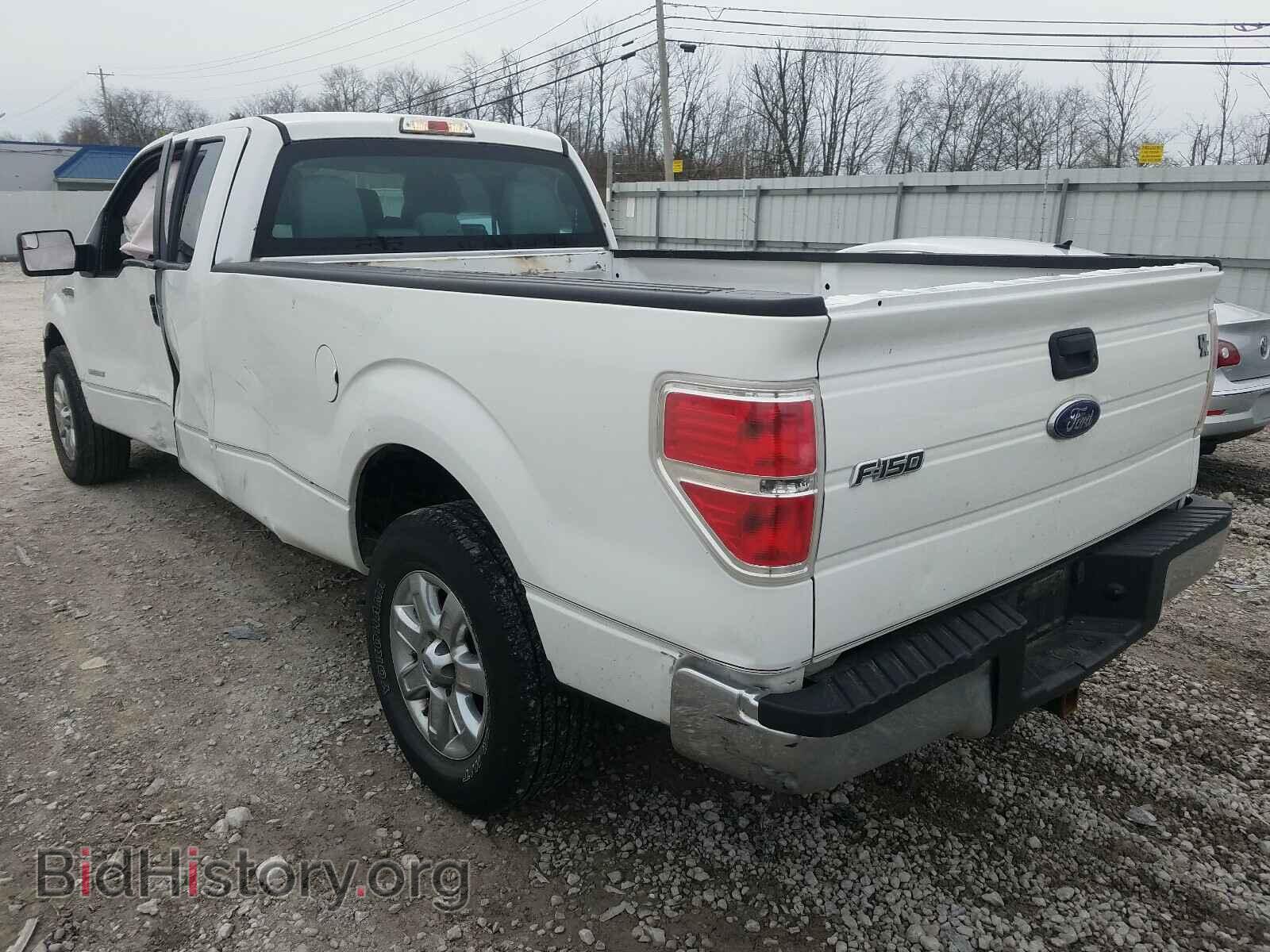 2013 FORD F150 - VIN: 1FTFX1CT3DKF81361 - Фото 3