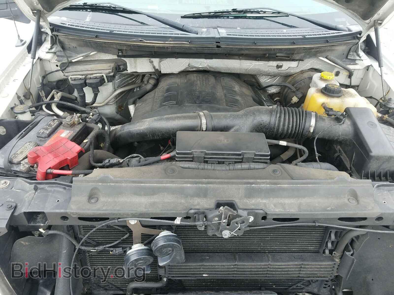 2013 FORD F150 - VIN: 1FTFX1CT3DKF81361 - Фото 7