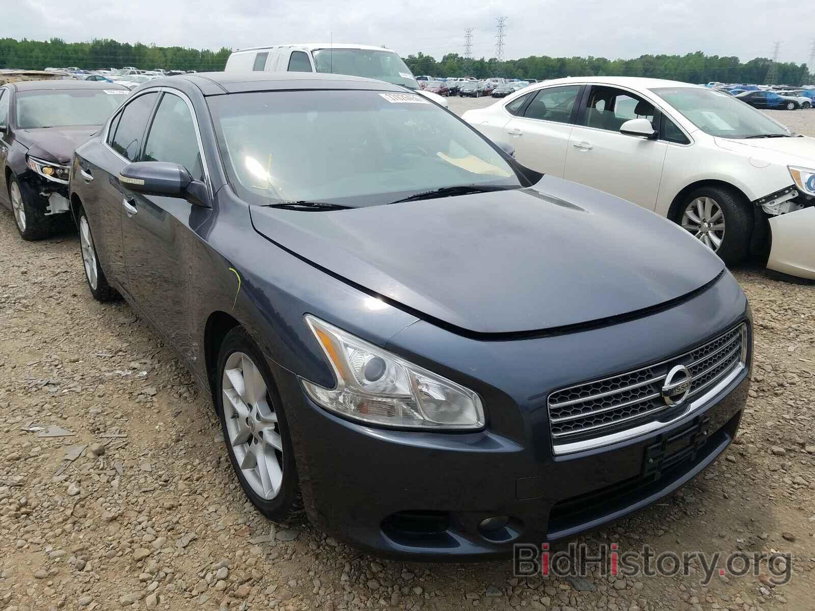 Фотография 1N4AA5AP1AC825903 - NISSAN MAXIMA 2010