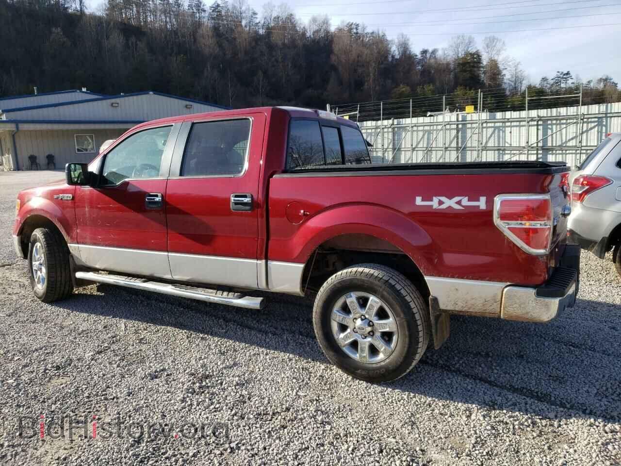 2013 FORD F-150 - VIN: 1FTFW1EF8DFB43244 - Фото 2