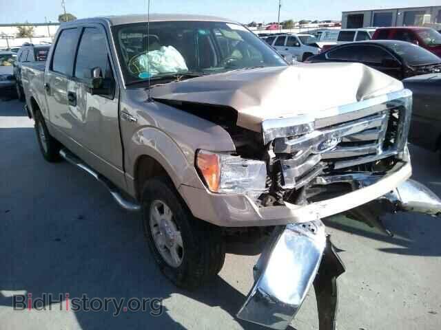 Фотография 1FTEW1C84AFB37484 - FORD F150 2010