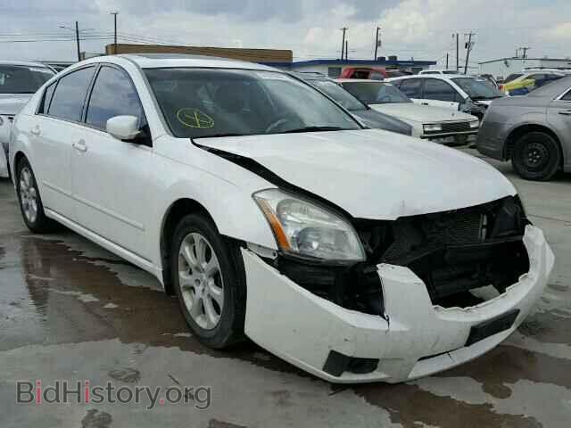 Photo 1N4BA41E58C818962 - NISSAN MAXIMA 2008