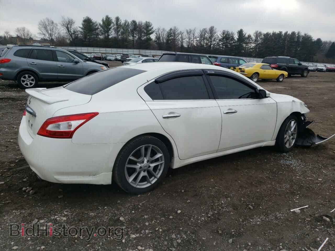 2010 NISSAN MAXIMA - VIN: 1N4AA5AP2AC805238 - Фото 3