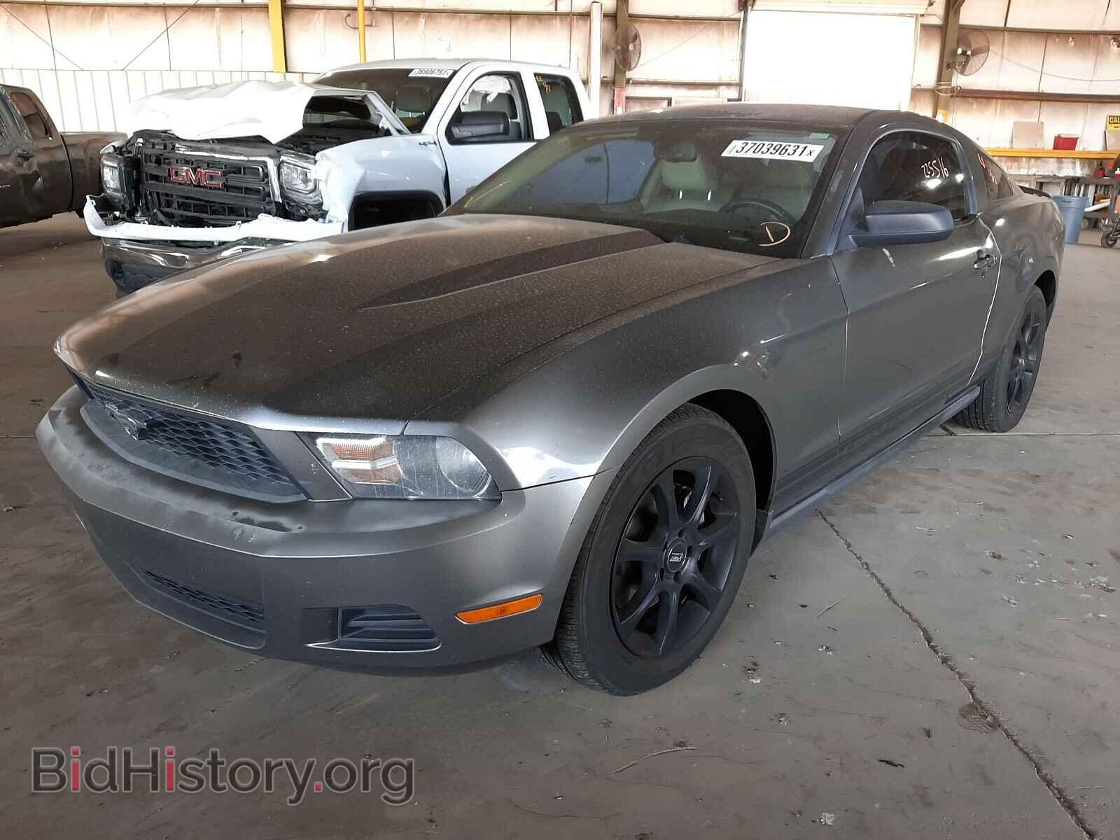 2011 FORD MUSTANG - VIN: 1ZVBP8AM8B5120281 - Фото 2