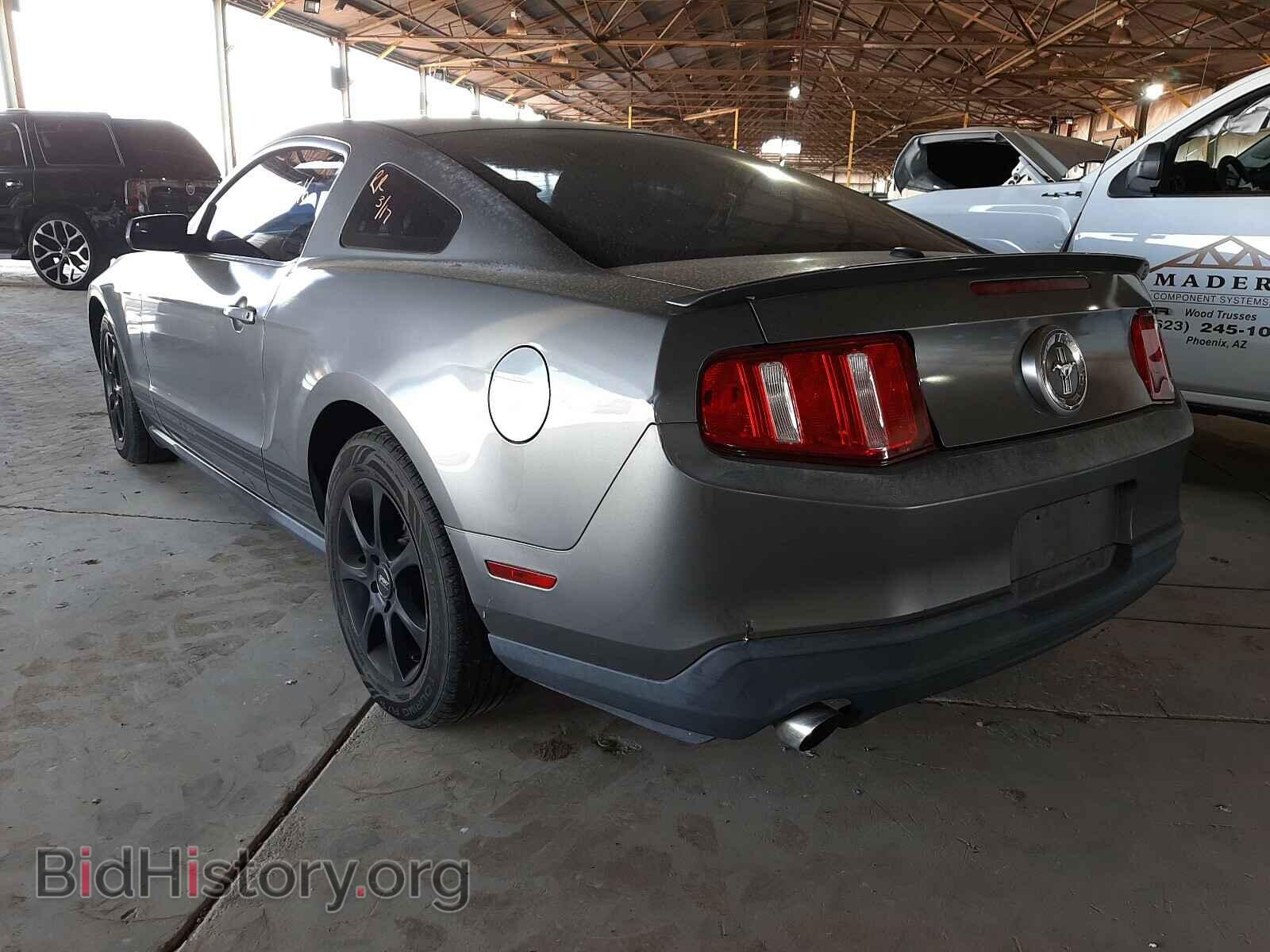 2011 FORD MUSTANG - VIN: 1ZVBP8AM8B5120281 - Фото 3