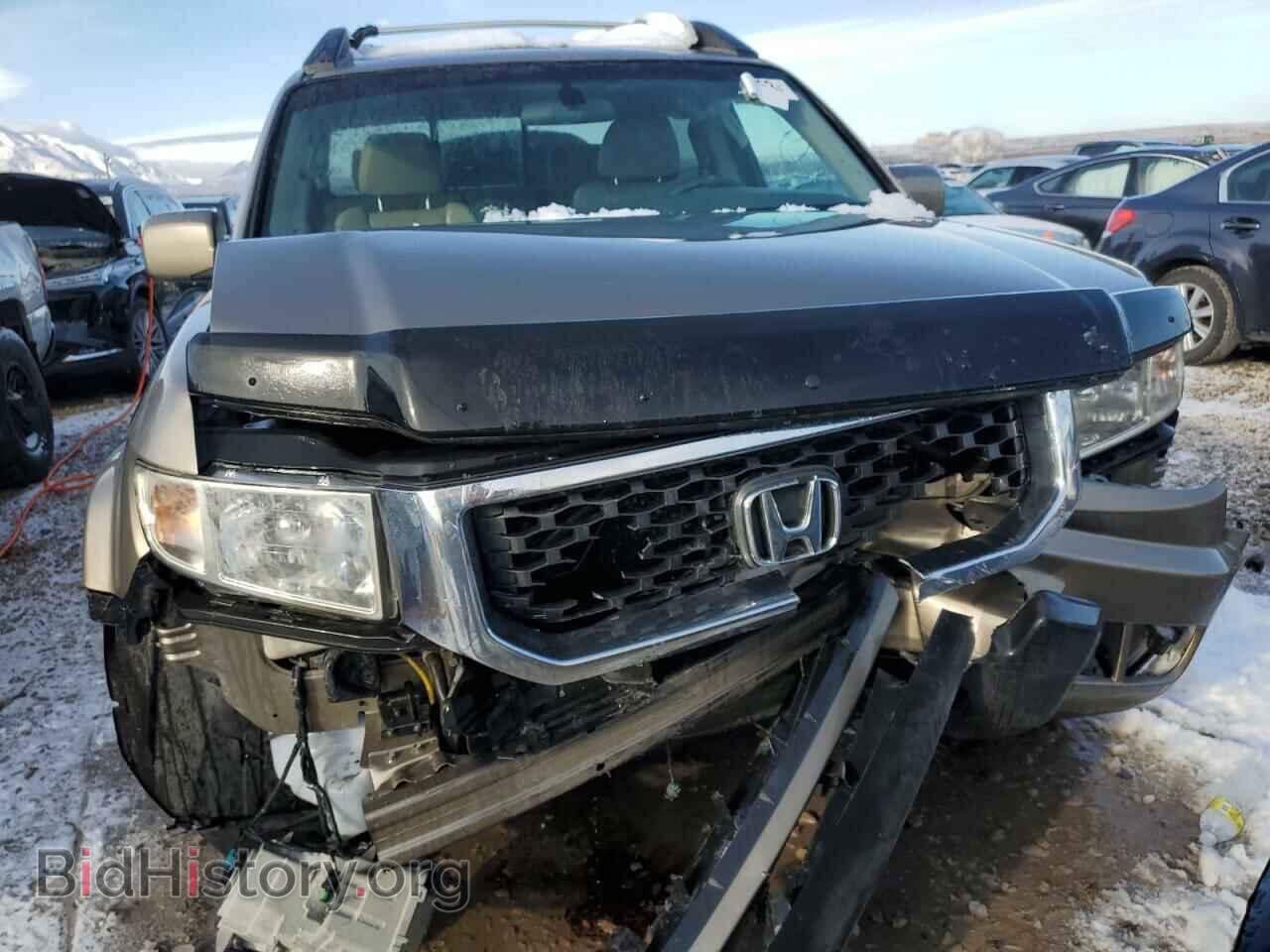 2011 HONDA RIDGELINE - VIN: 5FPYK1F5XBB003943 - Фото 5