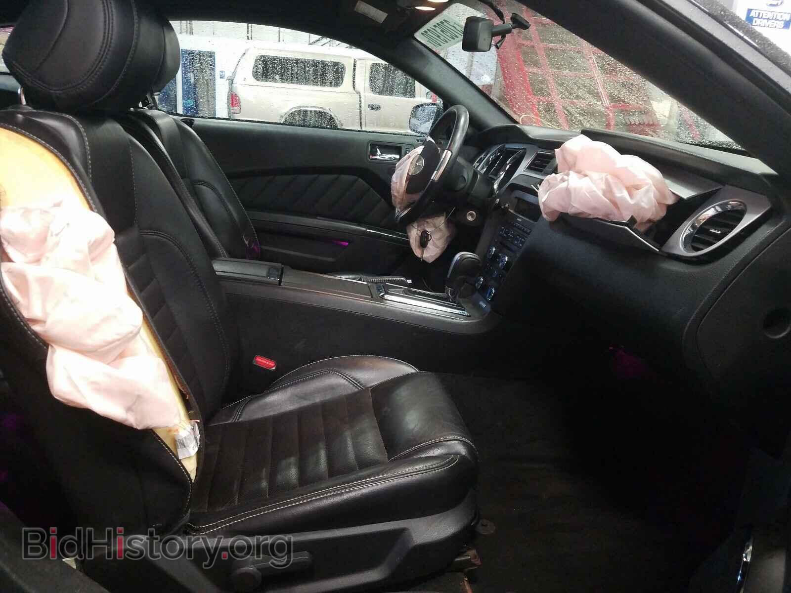 2013 FORD MUSTANG - VIN: 1ZVBP8AM5D5253017 - Фото 5