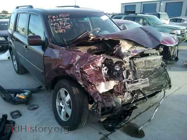 Photo 5FNYF38499B004010 - HONDA PILOT 2009
