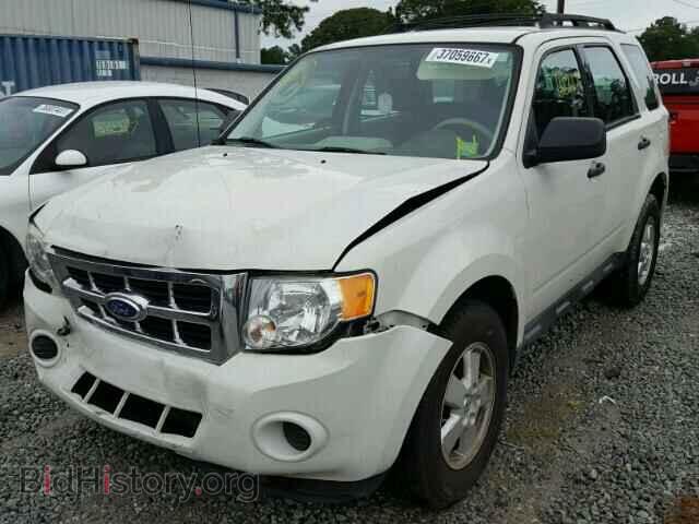 2011 FORD ESCAPE - VIN: 1FMCU0C74BKC40052 - Фото 2