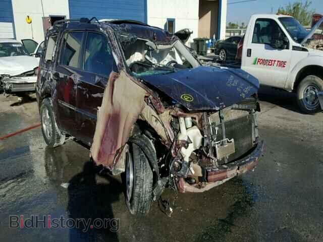 Photo 5FNYF48509B010809 - HONDA PILOT 2009