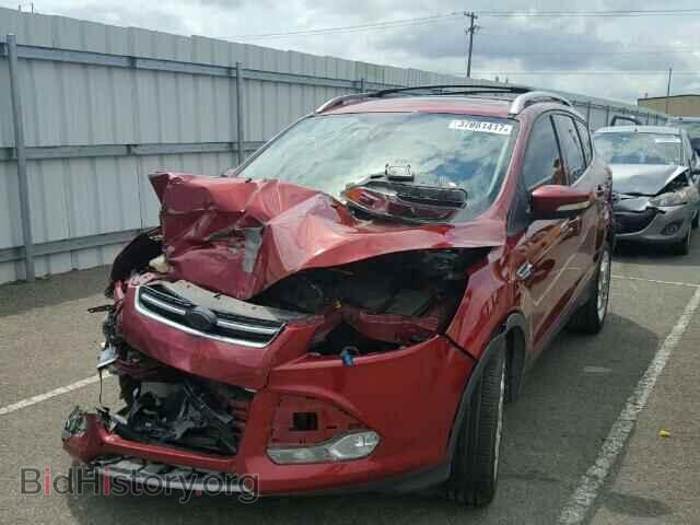 2013 FORD ESCAPE - VIN: 1FMCU0J97DUA58843 - Фото 2