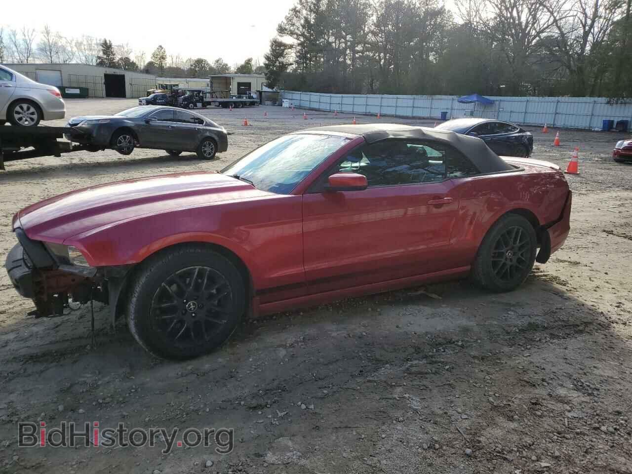 Фотография 1ZVBP8EM8D5203643 - FORD MUSTANG 2013