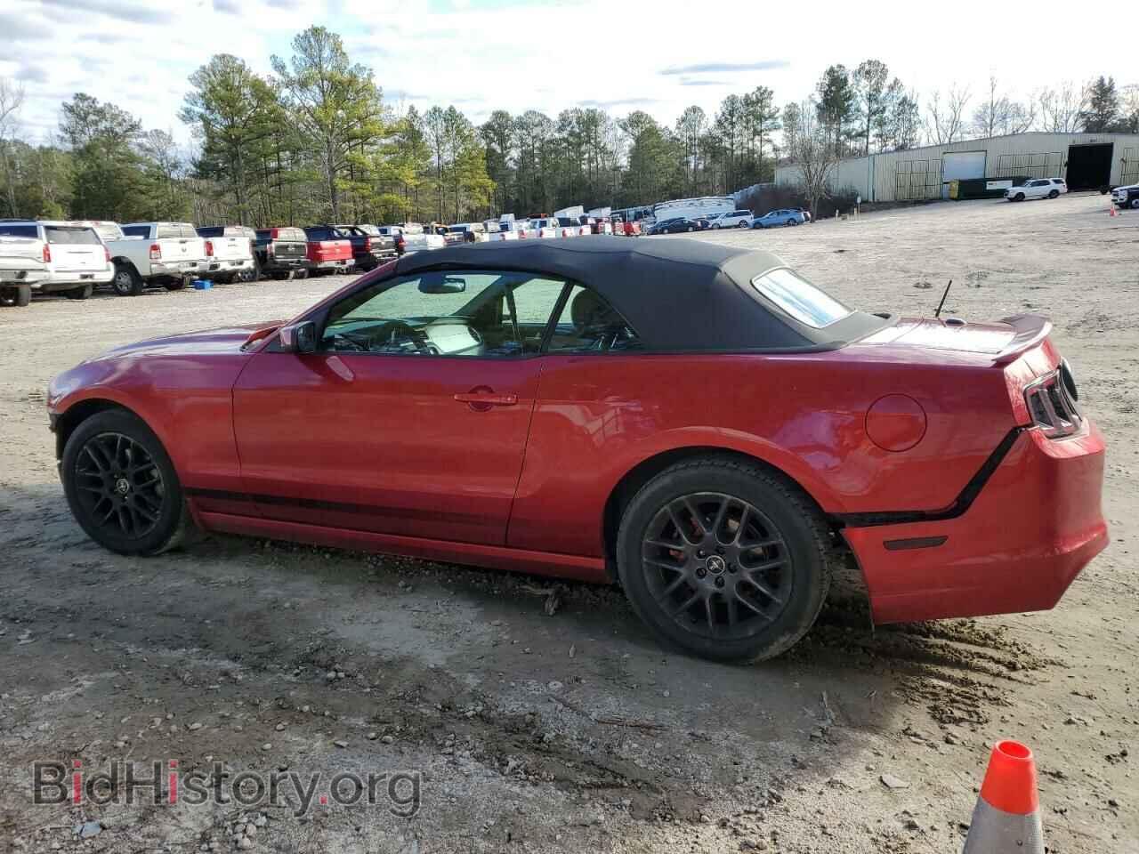 2013 FORD MUSTANG - VIN: 1ZVBP8EM8D5203643 - Фото 2
