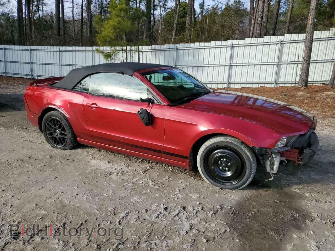 2013 FORD MUSTANG - VIN: 1ZVBP8EM8D5203643 - Фото 4