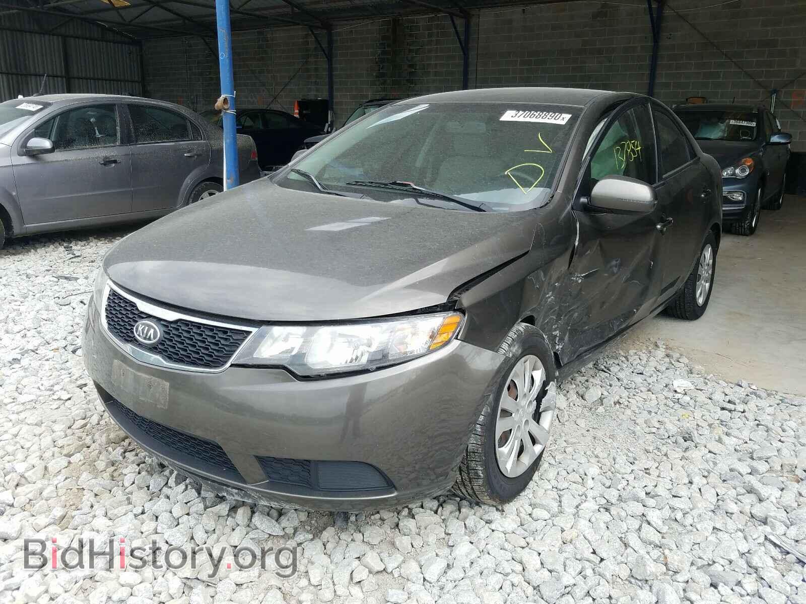 2011 KIA FORTE - VIN: KNAFU4A29B5347528 - Фото 2