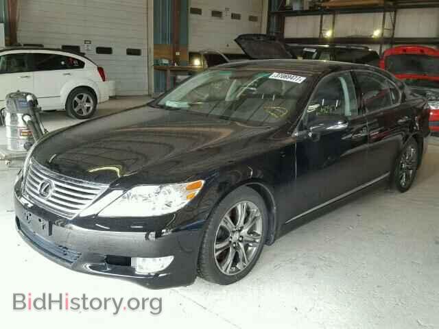 2010 LEXUS LS460 - VIN: JTHCL5EF0A5008732 - Фото 2