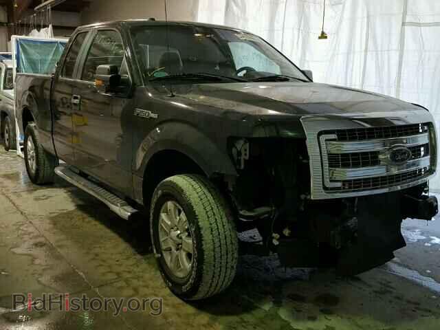 Фотография 1FTFX1EF2DFA51656 - FORD F150 2013