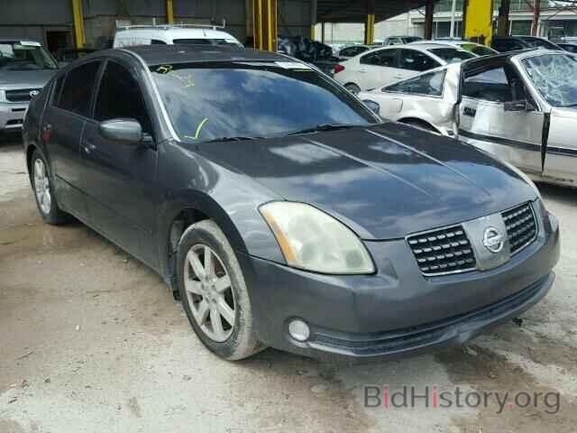 Photo 1N4BA41E34C904538 - NISSAN MAXIMA 2004