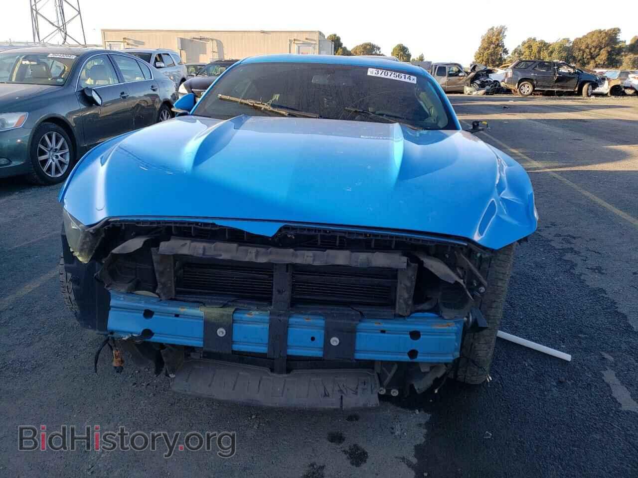 2017 FORD ALL Models - VIN: 1FA6P8TH8H5229164 - Фото 5