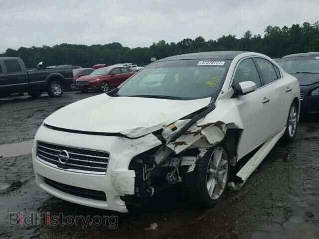 2009 NISSAN MAXIMA - VIN: 1N4AA51EX9C818815 - Фото 2